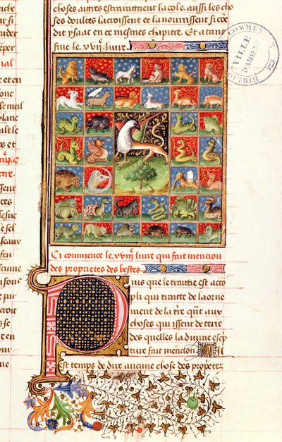 Ms 399 fol. 241 Dyrenes egenskaber, fra 